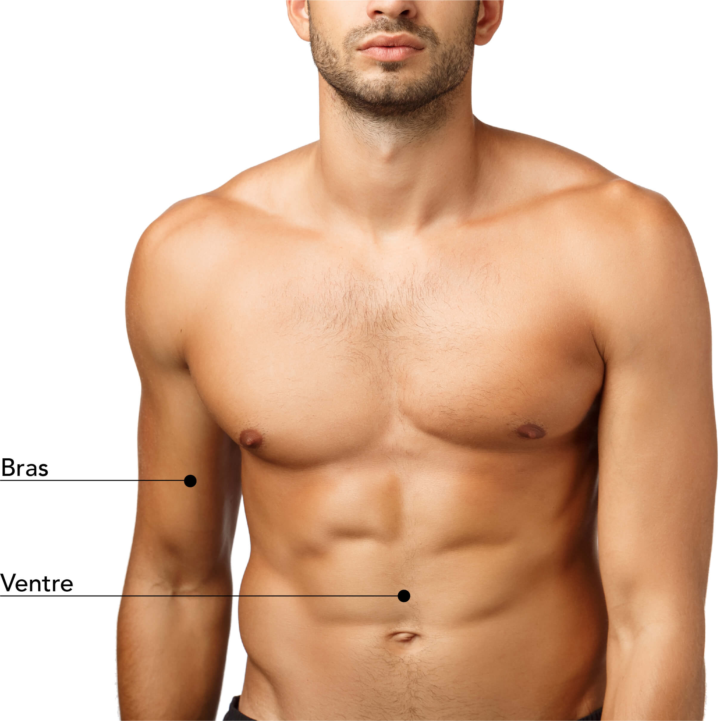 ones traitables par le traitement Venus Freeze chez l’homme : bras et ventre. Technologie de radiofréquence multipolaire et champs magnétiques pour raffermir la peau, réduire la graisse localisée et améliorer la tonicité musculaire