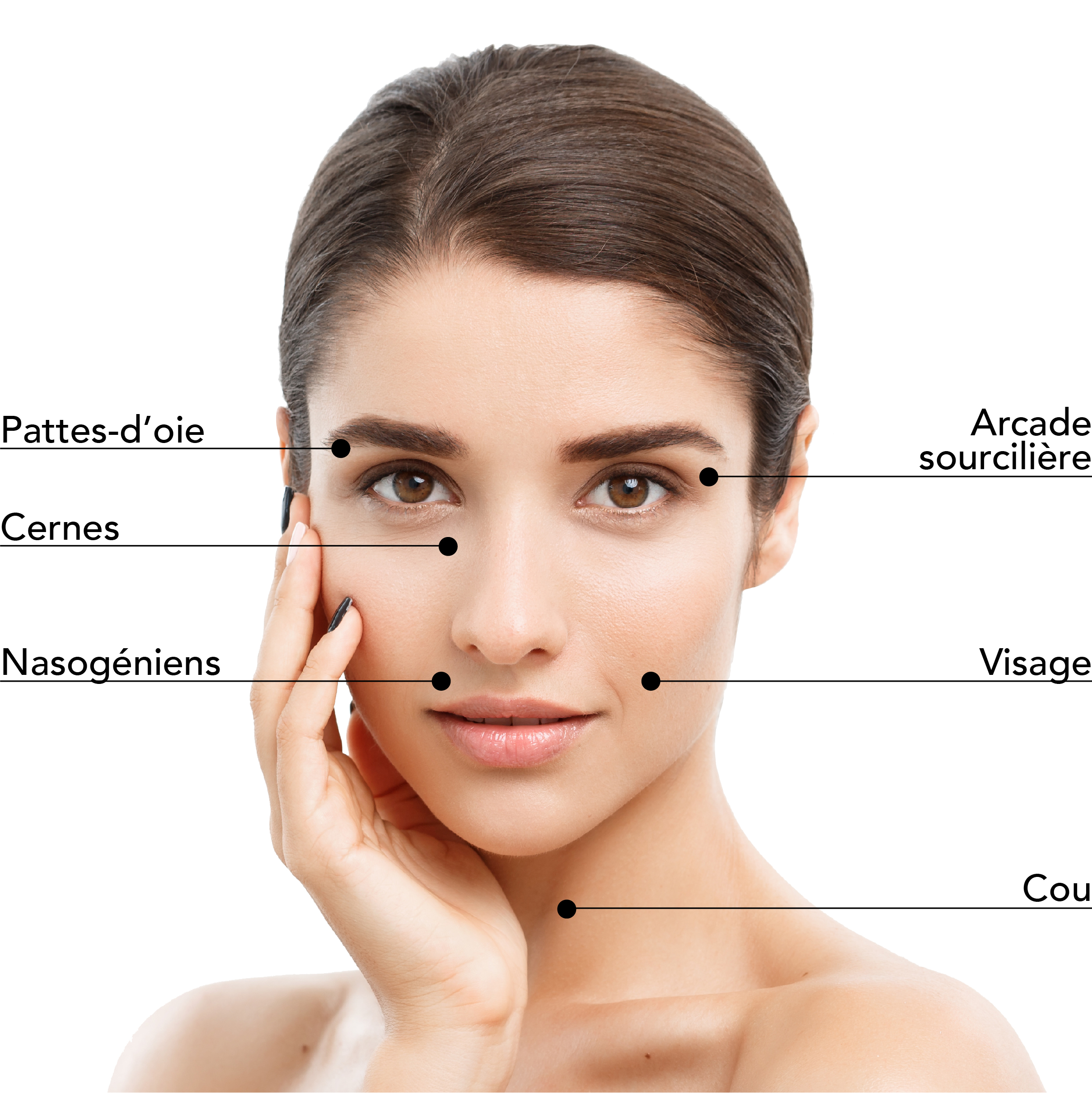 https://www.stlaurentme.com/wp-content/uploads/2025/08/Zones-Traitables_Botox_Visage_Femme-copie.jpg